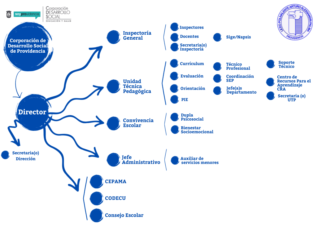 Organigrama 4